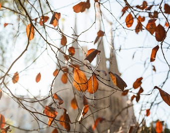 Autumn