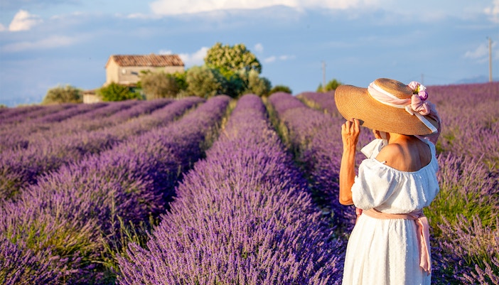 Valentine's Day in Paris
