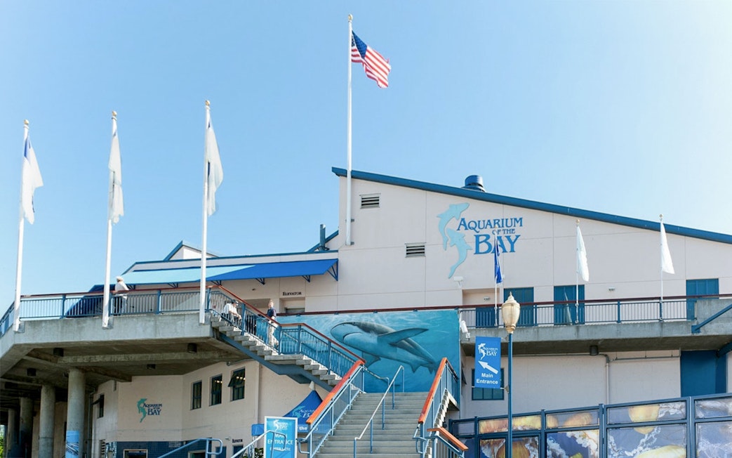 Aquarium of the Bay entrance with flags and shark mural, San Francisco.