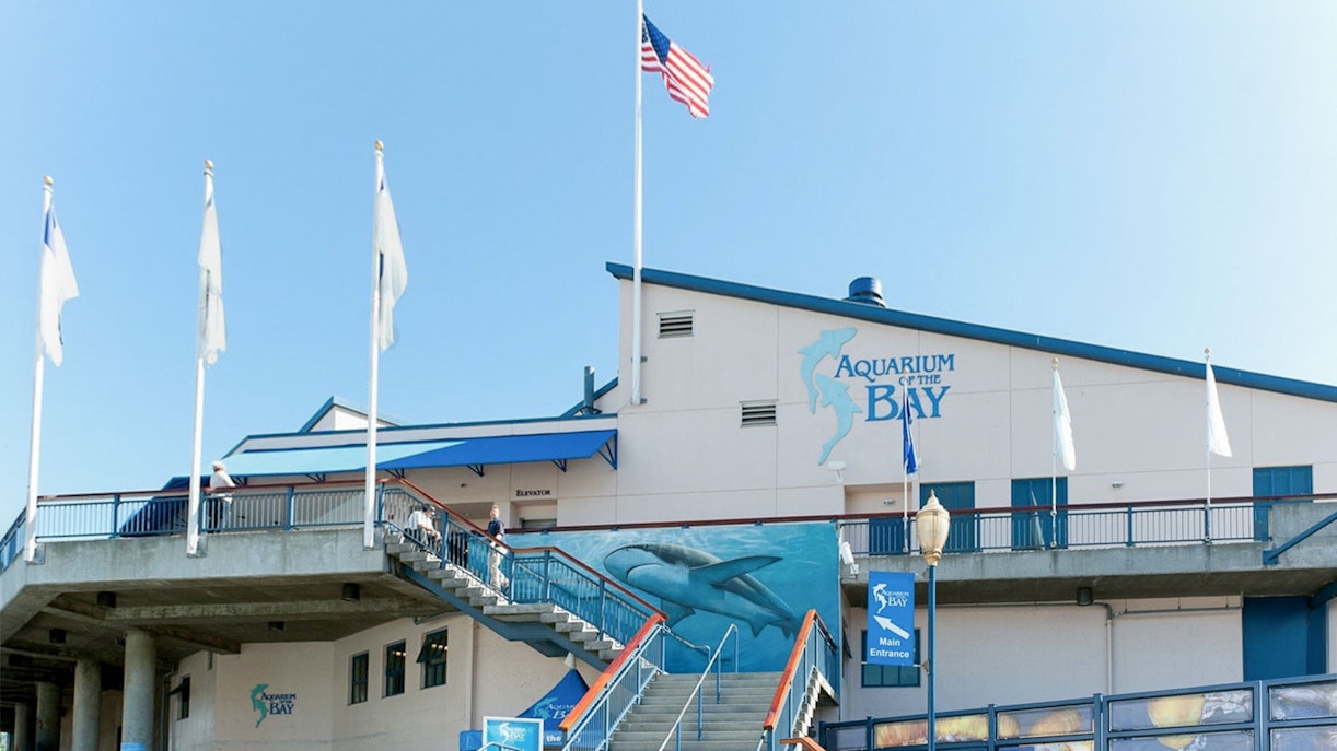 Aquarium of the Bay