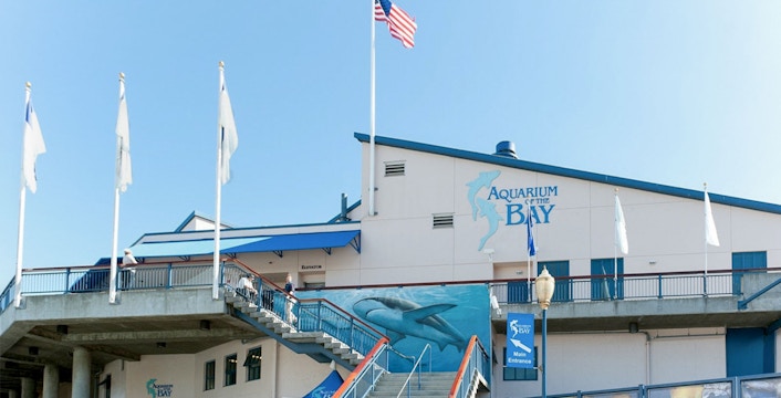 Aquarium of the Bay