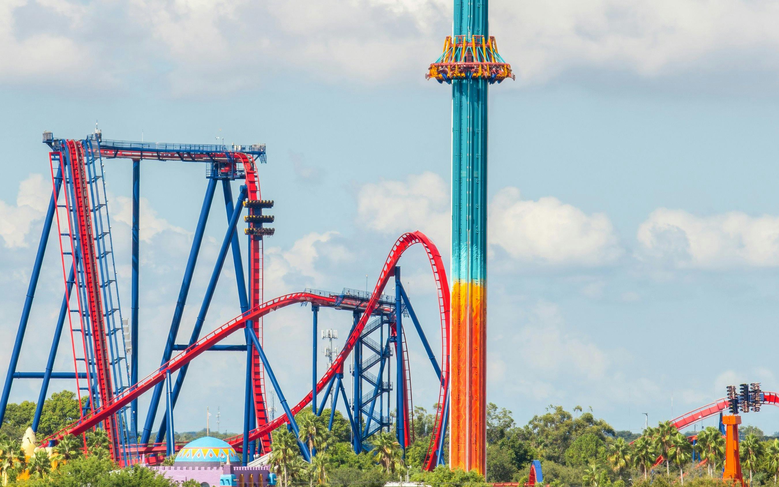 Roller coasters and drop tower ride at Busch Gardens Tampa.