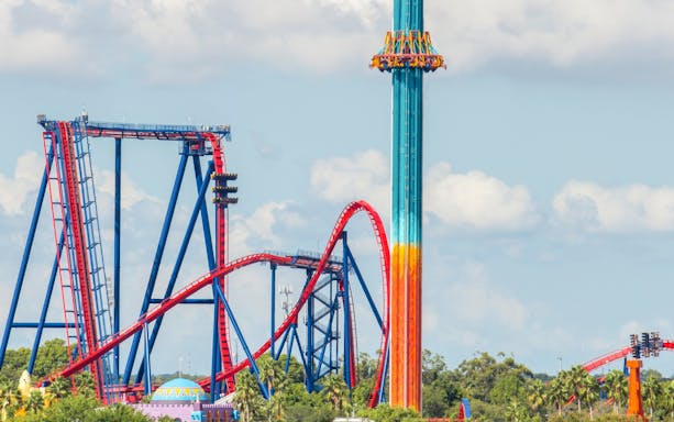 Roller coasters and drop tower ride at Busch Gardens Tampa.
