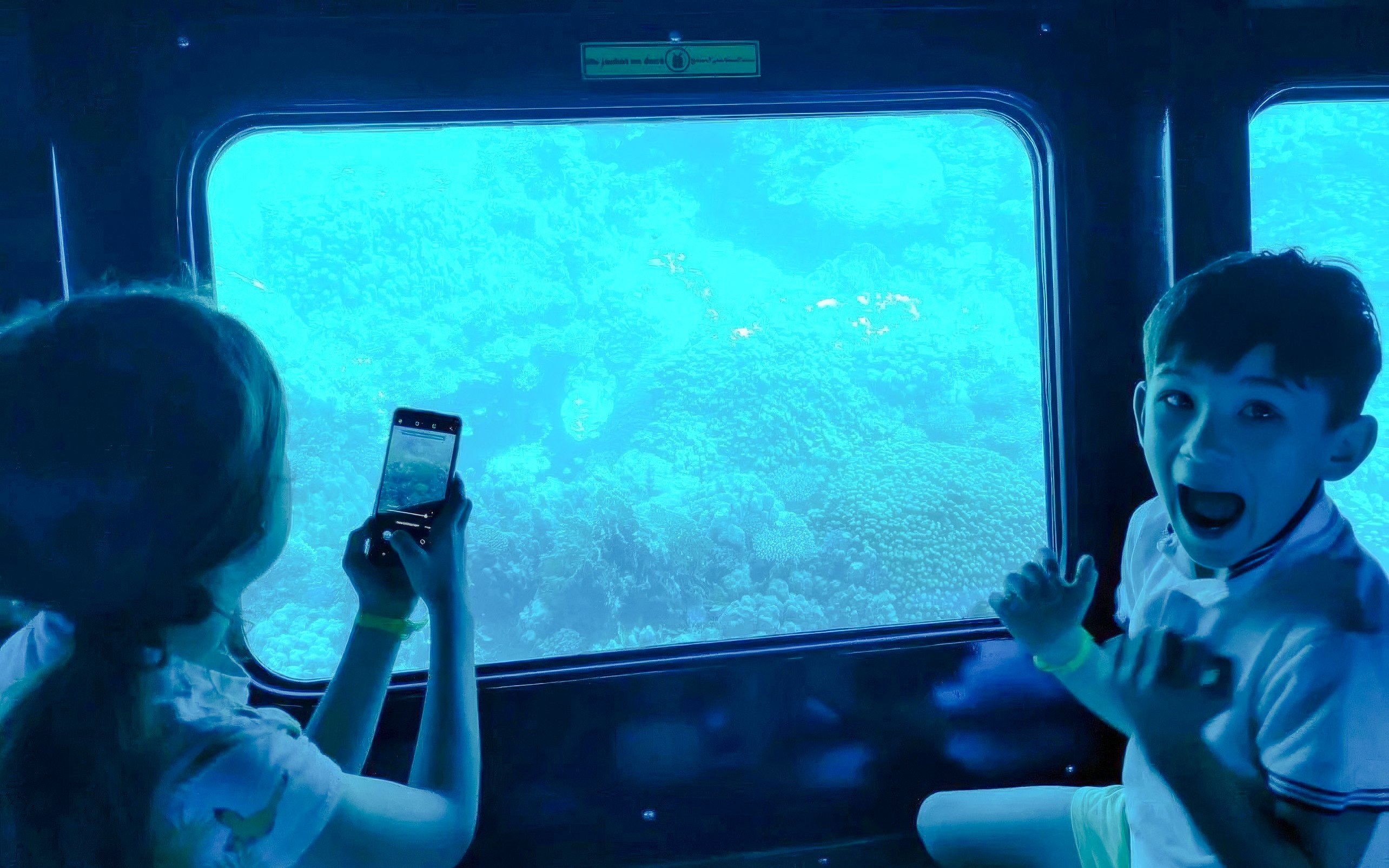 Kids viewing coral reefs through a window on the Royal Seascope semi-submarine tour, Red Sea, Hurghada.