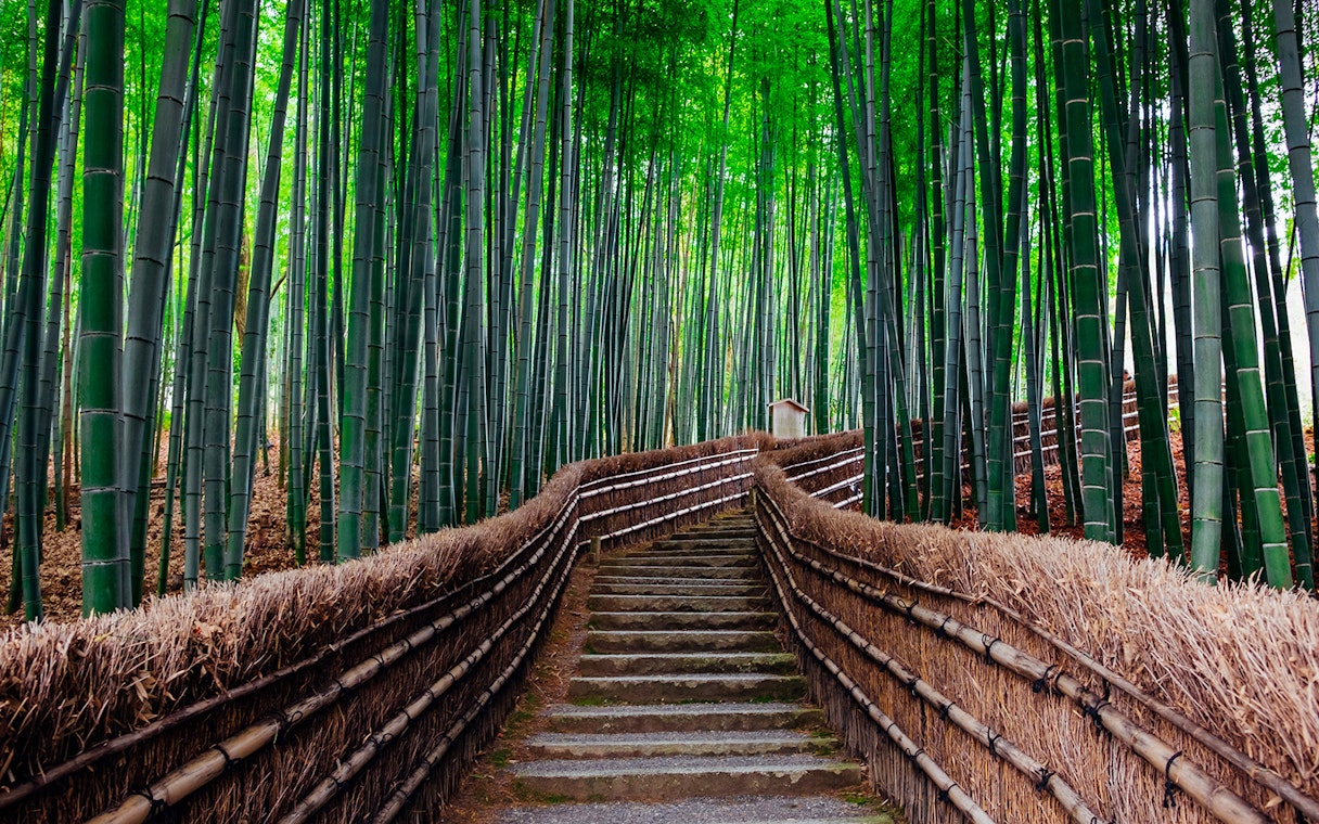 Pathway through Arashiyama Bamboo Grove, Kyoto, Japan, accessible with JR-West Kansai Rail Pass.