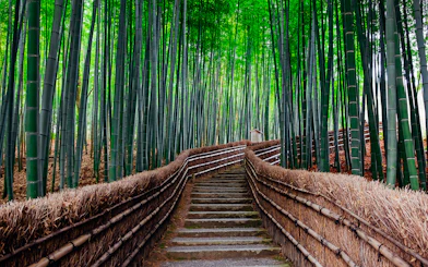 Pathway through Arashiyama Bamboo Grove, Kyoto, Japan, accessible with JR-West Kansai Rail Pass.