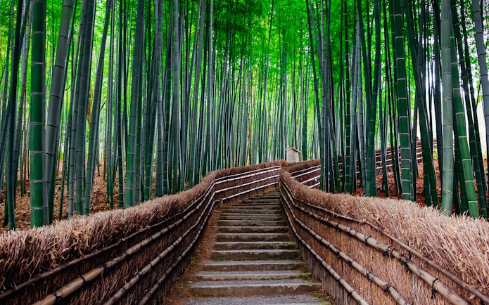 Pathway through Arashiyama Bamboo Grove, Kyoto, Japan, accessible with JR-West Kansai Rail Pass.