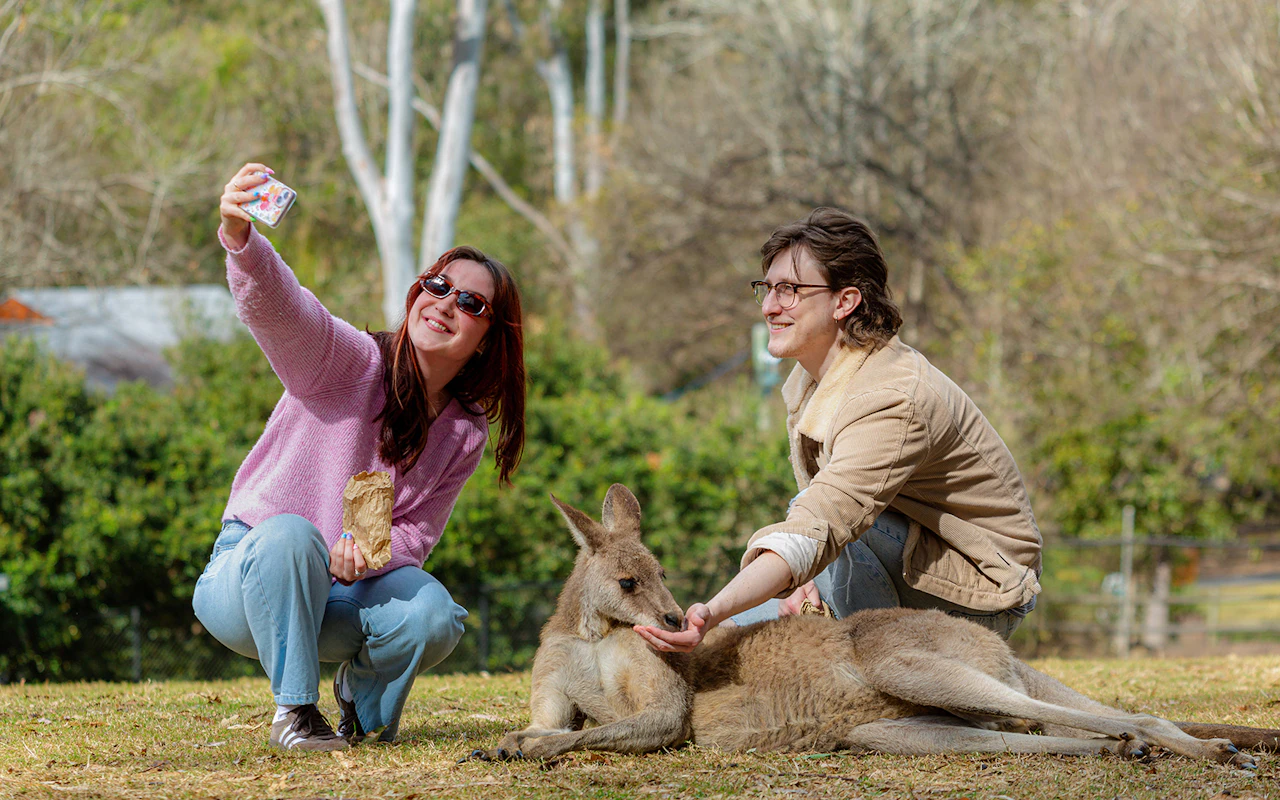 Biglietti per il Santuario dei Koala di Lone Pine con crociera sul fiume Brisbane — 9