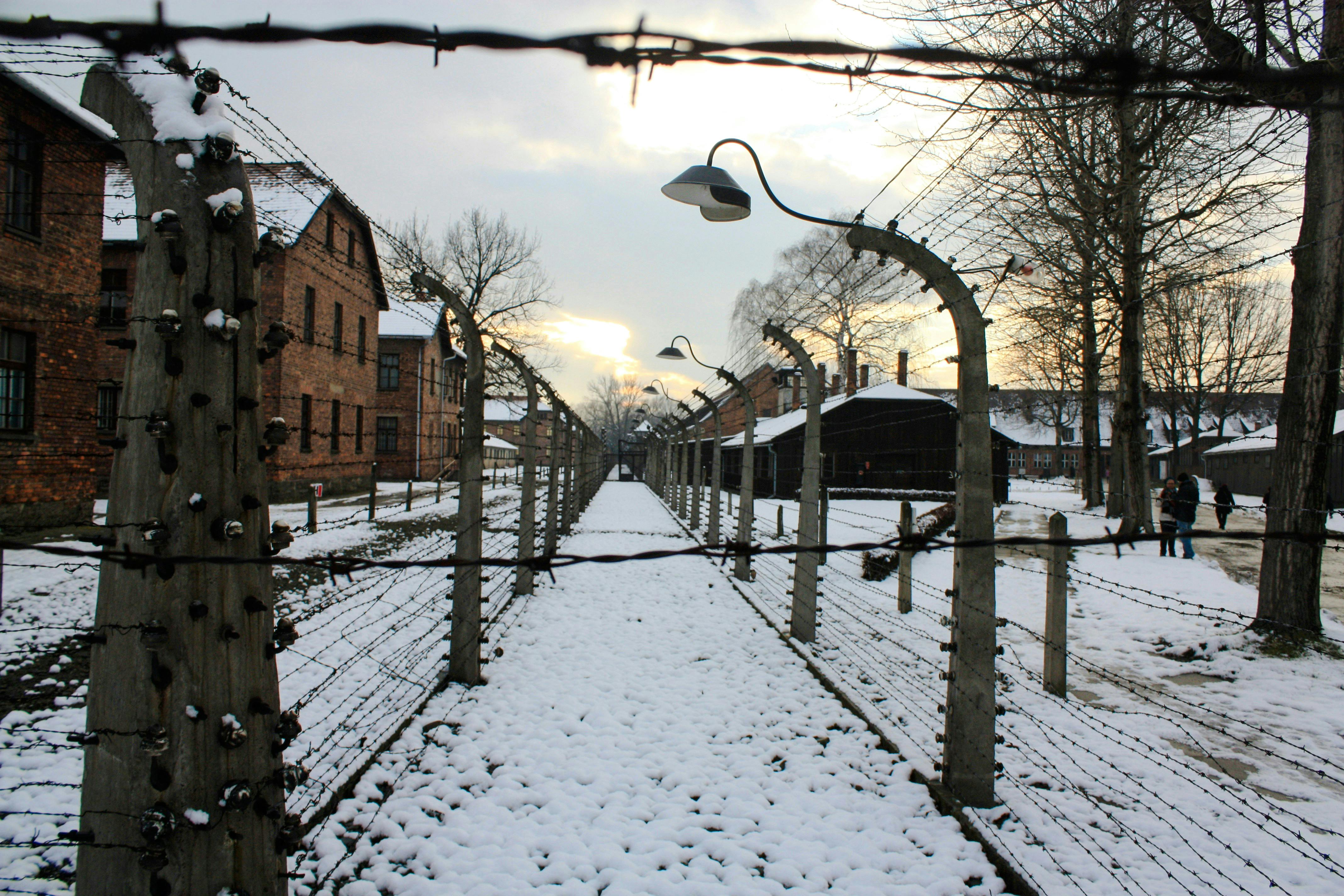 auschwitz-birkenau memorial and museum guided tour-1