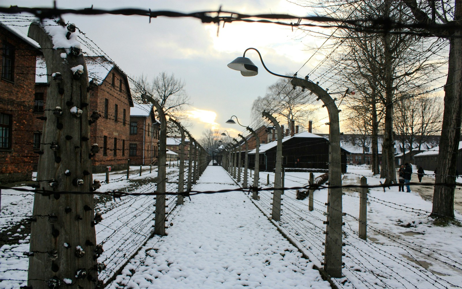 From Krakow: Auschwitz-Birkenau Memorial and Museum Guided Tour with Round-Trip Transport