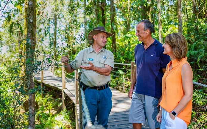 Guide explaining plants to tourists on a Kuranda rainforest boardwalk tour.