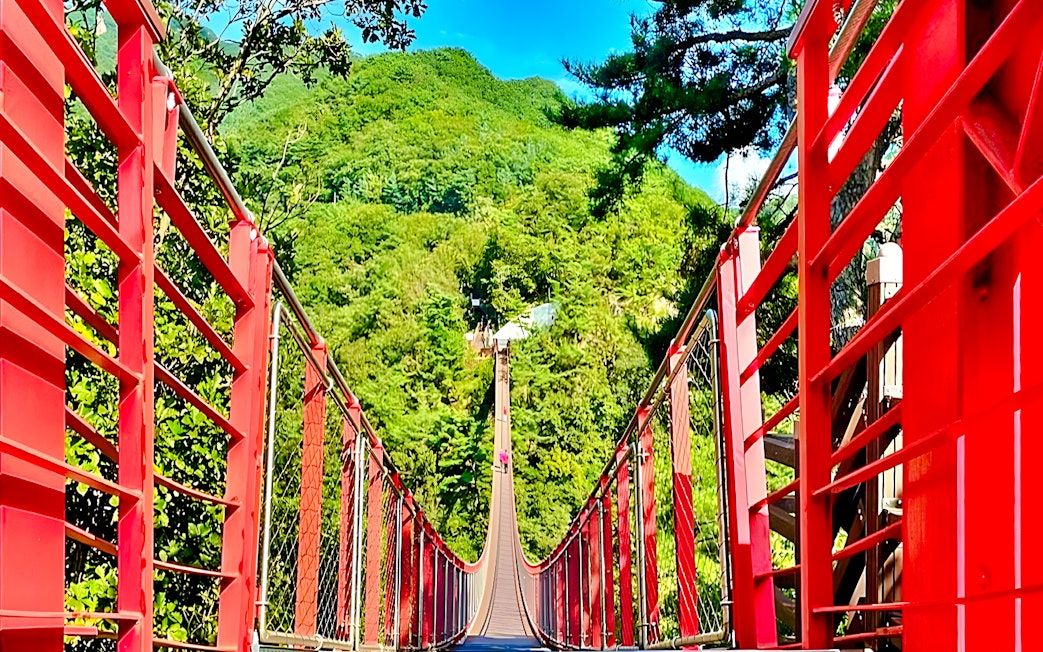 Mt Gamaksan Bridge with red railings surrounded by lush greenery on the Seoul to DMZ tour, South Korea.