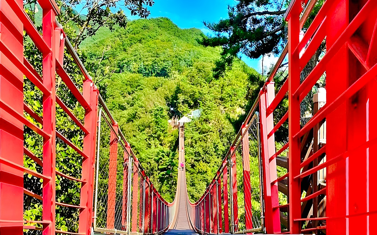 Mt Gamaksan Bridge with red railings surrounded by lush greenery on the Seoul to DMZ tour, South Korea.