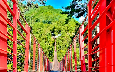 Mt Gamaksan Bridge with red railings surrounded by lush greenery on the Seoul to DMZ tour, South Korea.