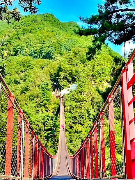 Mt Gamaksan Bridge with red railings surrounded by lush greenery on the Seoul to DMZ tour, South Korea.