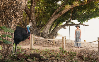 paronella park cassowary coast guided day and night tour-7