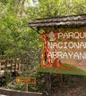 Arrayanes-skoven
