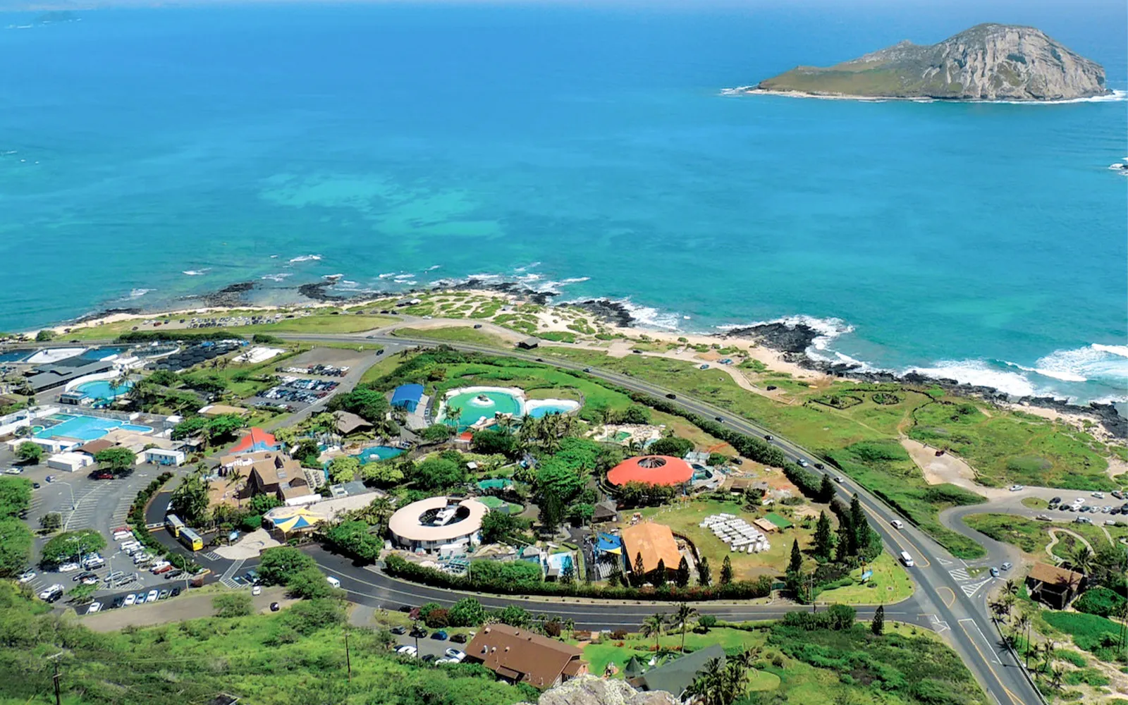 Sea Life Park Hawaii Tickets