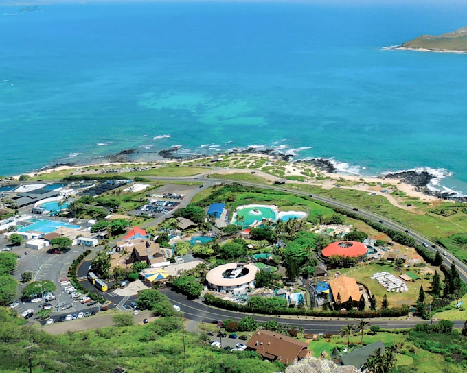 Sea Life Park Hawaii Tickets
