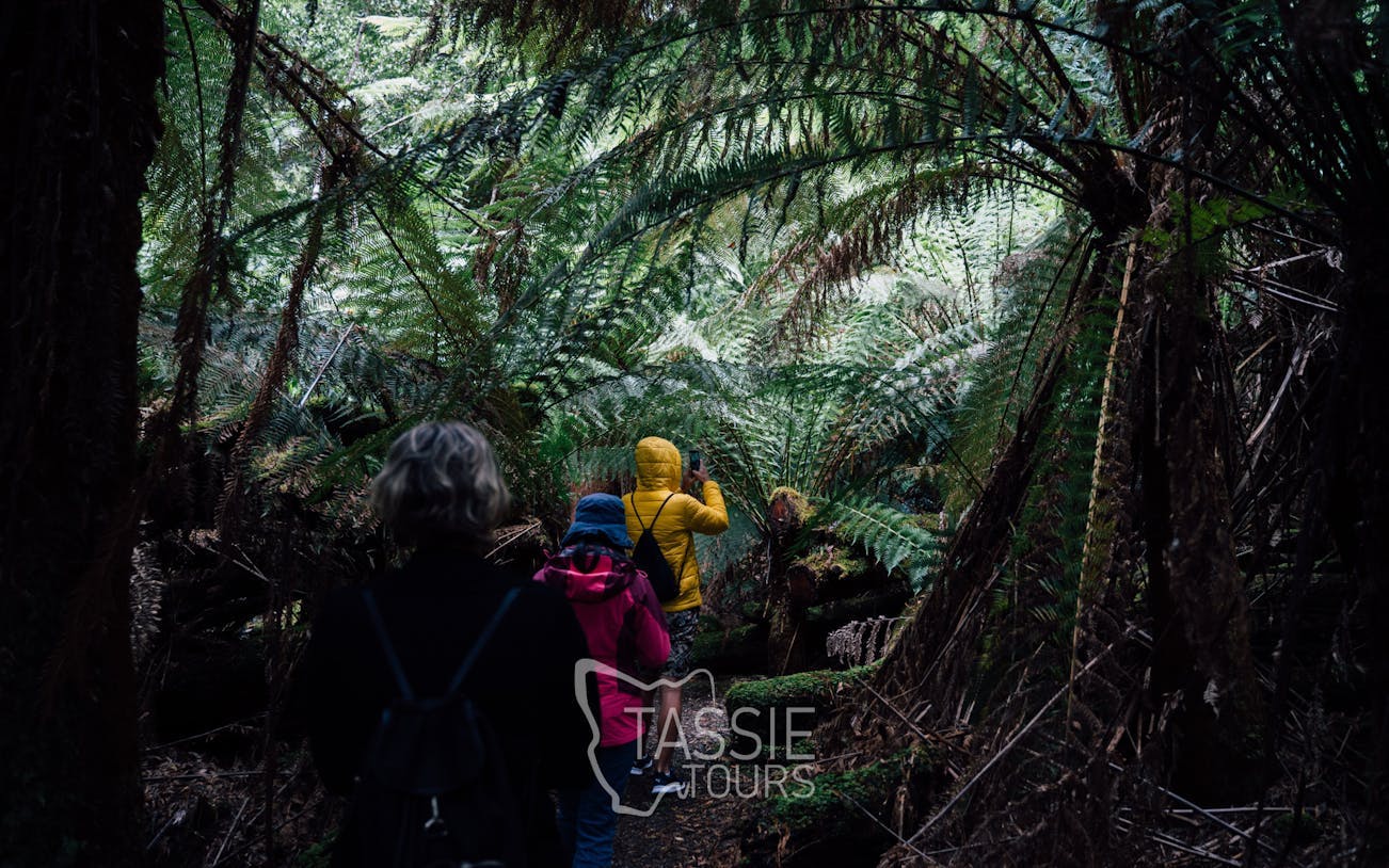2 day tasmanian highlights bundle 3 - bruny island & port ar-2