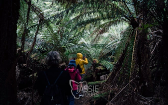 2-dagers pakke med høydepunkter på tasmania 3 - bruny island og port ar-2