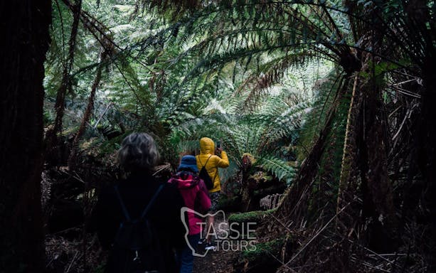 2 day tasmanian highlights bundle 3 - bruny island & port ar-2