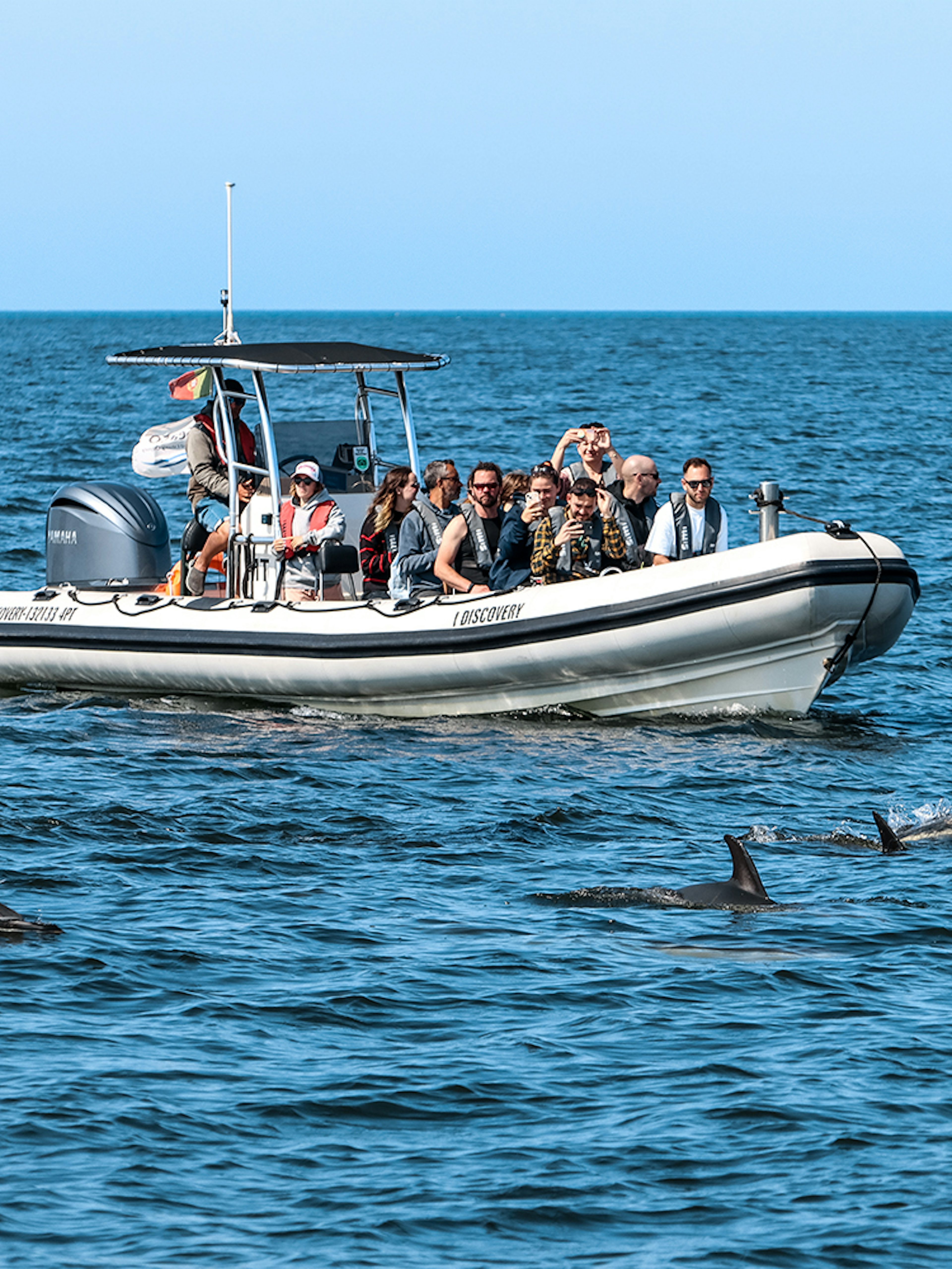 Tourists on boat watching dolphins during guided tour.