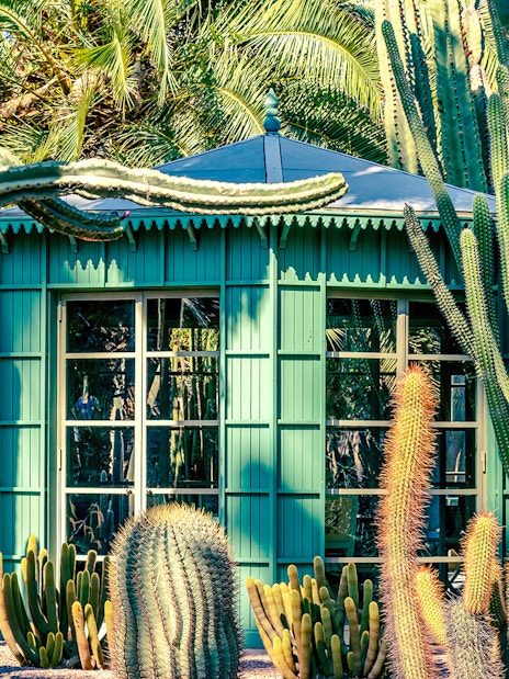 Jardin Majorelle pavilion surrounded by tall cacti and palm trees.