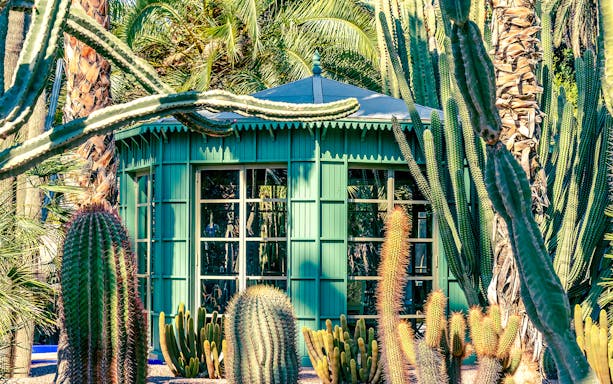 Jardin Majorelle pavilion surrounded by tall cacti and palm trees.