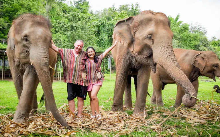 Elephant Jungle Sanctuary Chiang Mai Overnight Visit elephant-jungle-sanctuary-chiang-mai-overnight-visit