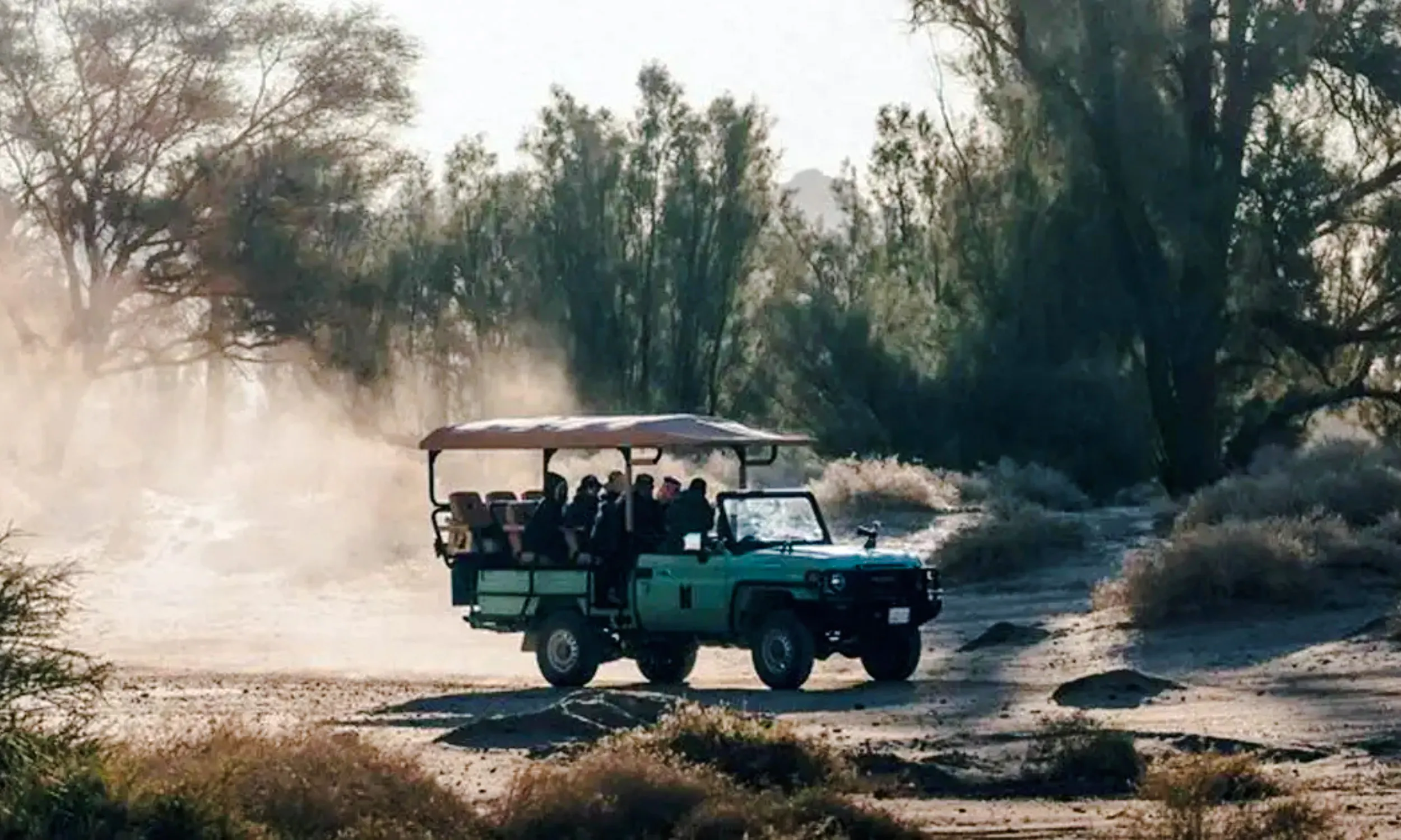 From AlUla: Hegra Nature Reserve Guided 4x4 Wildlife Safari Image 12