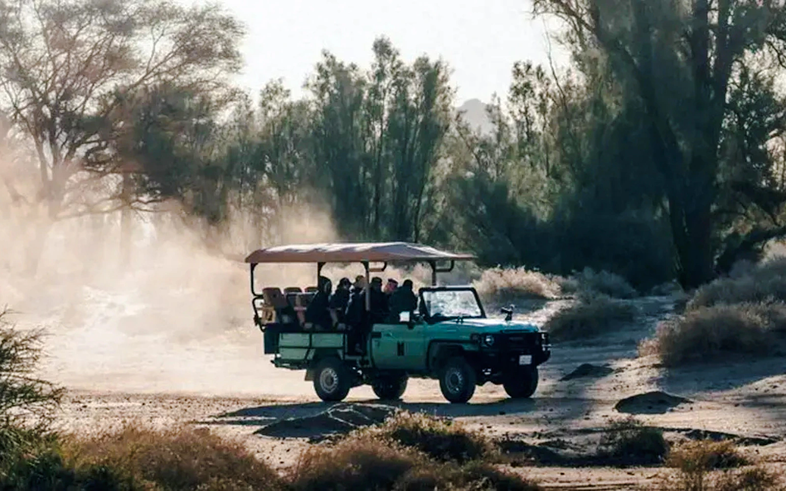 From AlUla: Hegra Nature Reserve Guided 4x4 Wildlife Safari Image 12