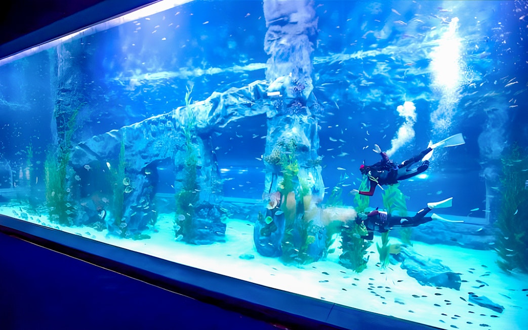 Divers exploring underwater scenery at Jamsil Lotte World Aquarium in Seoul.