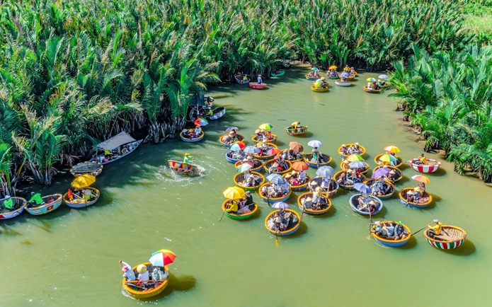 Aerial view of basket boats navigating through coconut water forest in Vietnam.