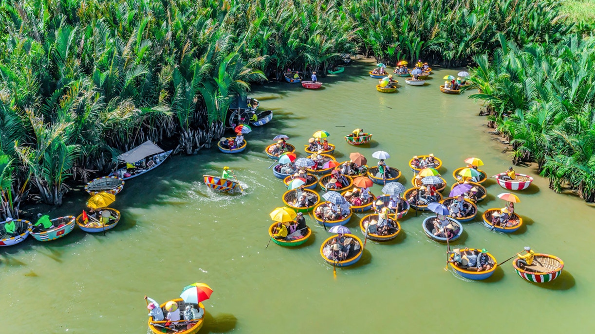 Aerial view of basket boats navigating through coconut water forest in Vietnam.