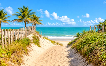 Sandy path leading to Caraíva beach with palm trees and ocean view, Porto Seguro.