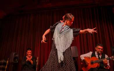 Flamenco dancer performing at Palau Dalmases with guitarist and singer.