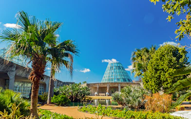San Antonio Botanical Garden glass conservatory with palm trees and blue sky.