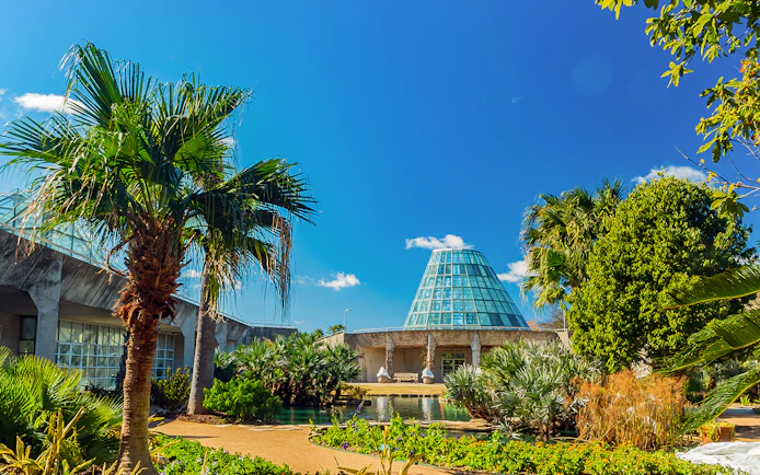 San Antonio Botanical Garden glass conservatory with palm trees and blue sky.