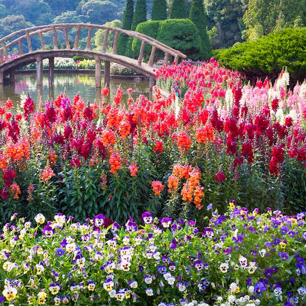 Amsterdam in April  events