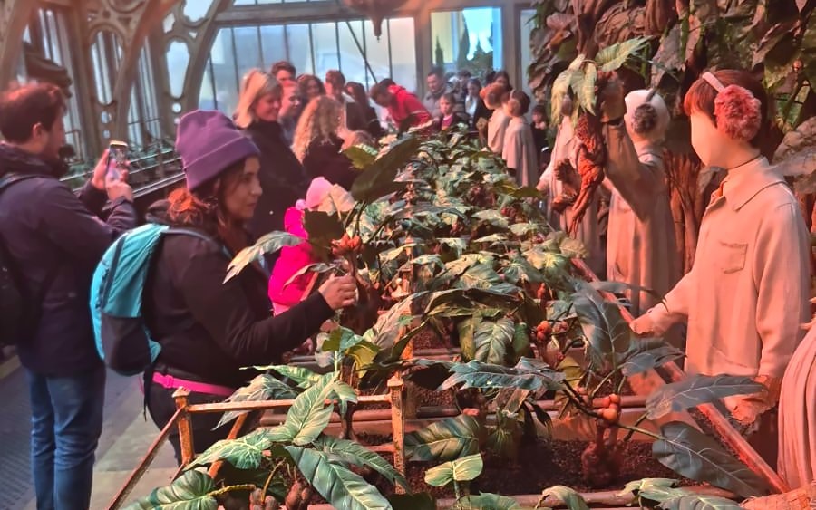 Visitors exploring Professor Sprout's greenhouse with unique plants and interactive displays.