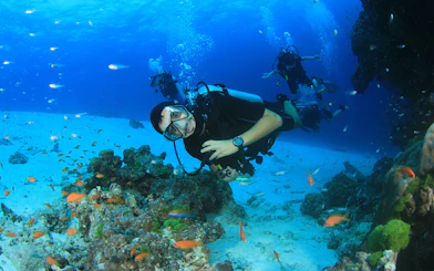 Scuba diver exploring coral reefs and fish in the Red Sea, Hurghada.