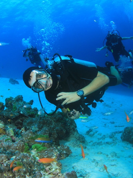 Scuba diver exploring coral reefs and fish in the Red Sea, Hurghada.