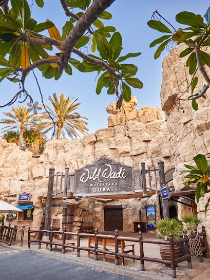 Wild Wadi Waterpark entrance with rocky facade and palm trees in Dubai.
