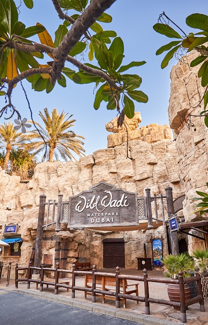 Wild Wadi Waterpark entrance with rocky facade and palm trees in Dubai.