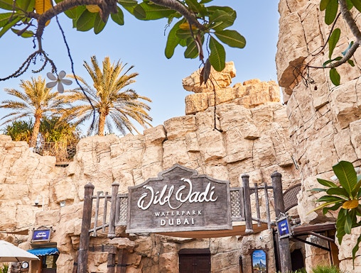 Wild Wadi Waterpark entrance with rocky facade and palm trees in Dubai.