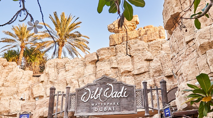 Wild Wadi Waterpark entrance with rocky facade and palm trees in Dubai.