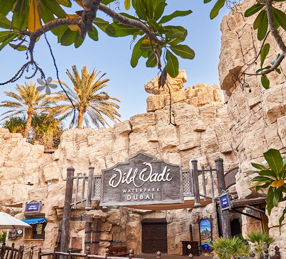 Wild Wadi Waterpark entrance with rocky facade and palm trees in Dubai.