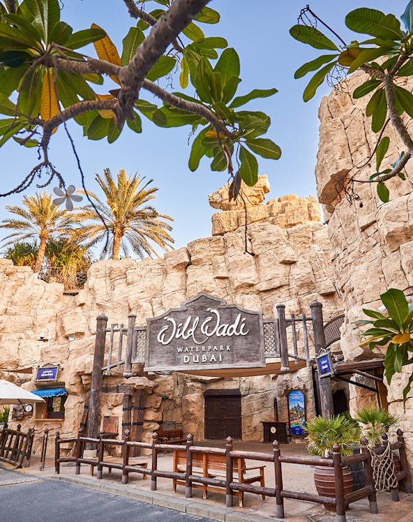 Wild Wadi Waterpark entrance with rocky facade and palm trees in Dubai.