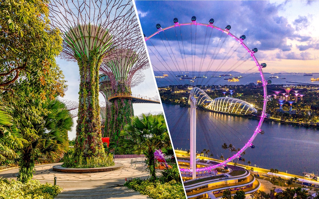 Gardens by the Bay Supertree Grove and illuminated Singapore Flyer at dusk.